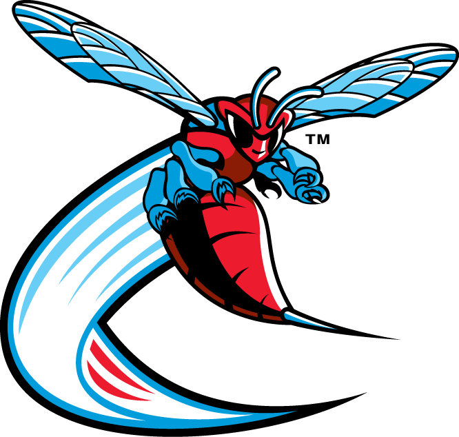 Delaware State Hornets 2004-Pres Alternate Logo v3 diy iron on heat transfer